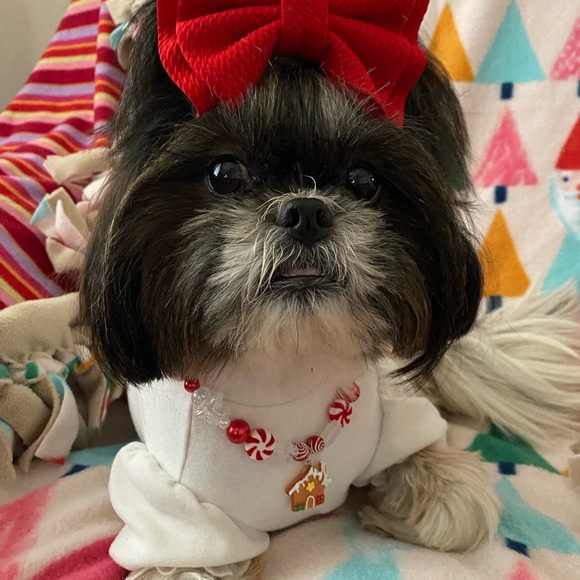 Pet Christmas necklace - Picture 3 of 3